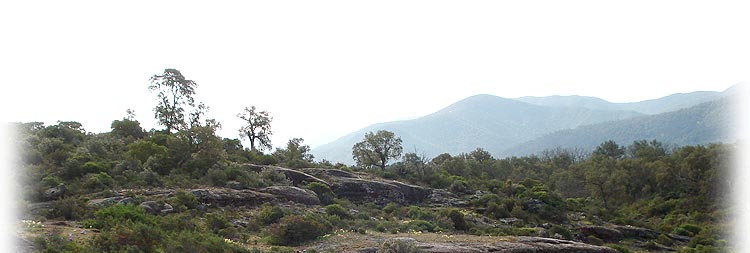 paysage du var sous-sols pierres calcaires micaschiste